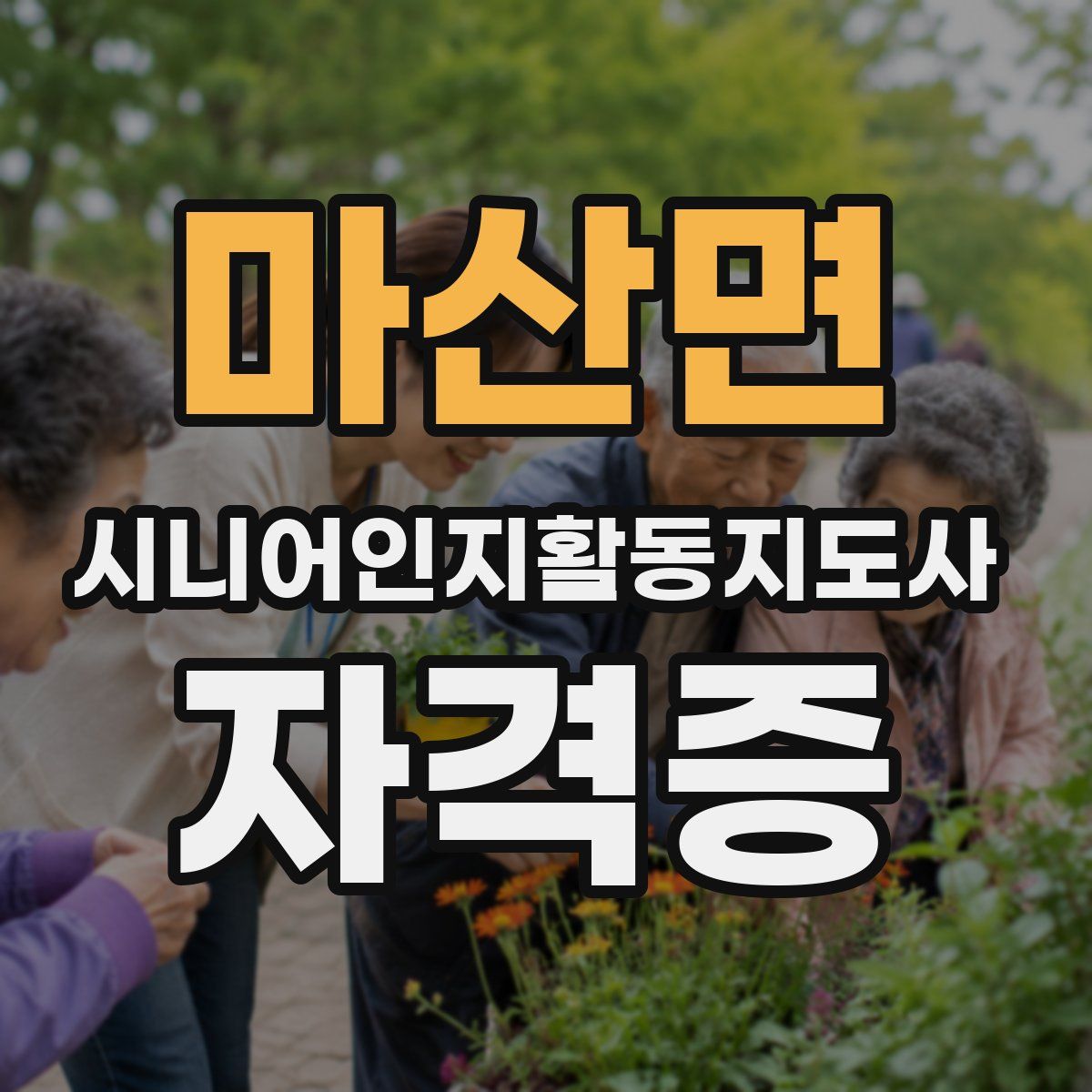 마산면 시니어인지활동지도사 자격증