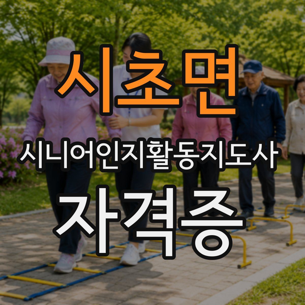 시초면 시니어인지활동지도사 자격증