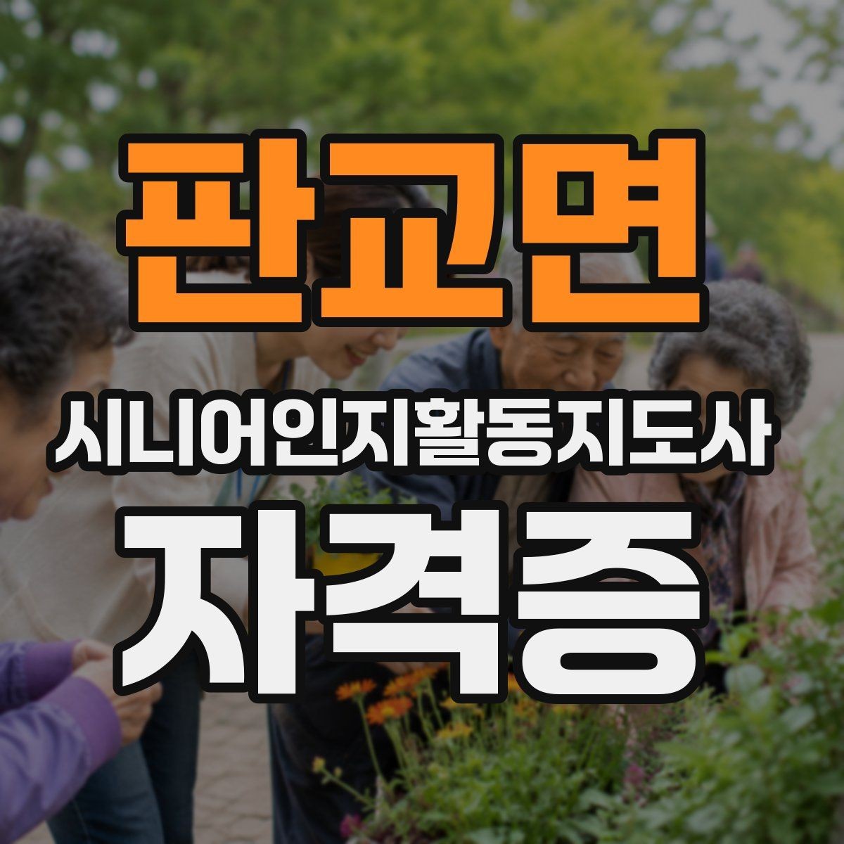 판교면 시니어인지활동지도사 자격증 과정의 수업 범위와 학습 목표