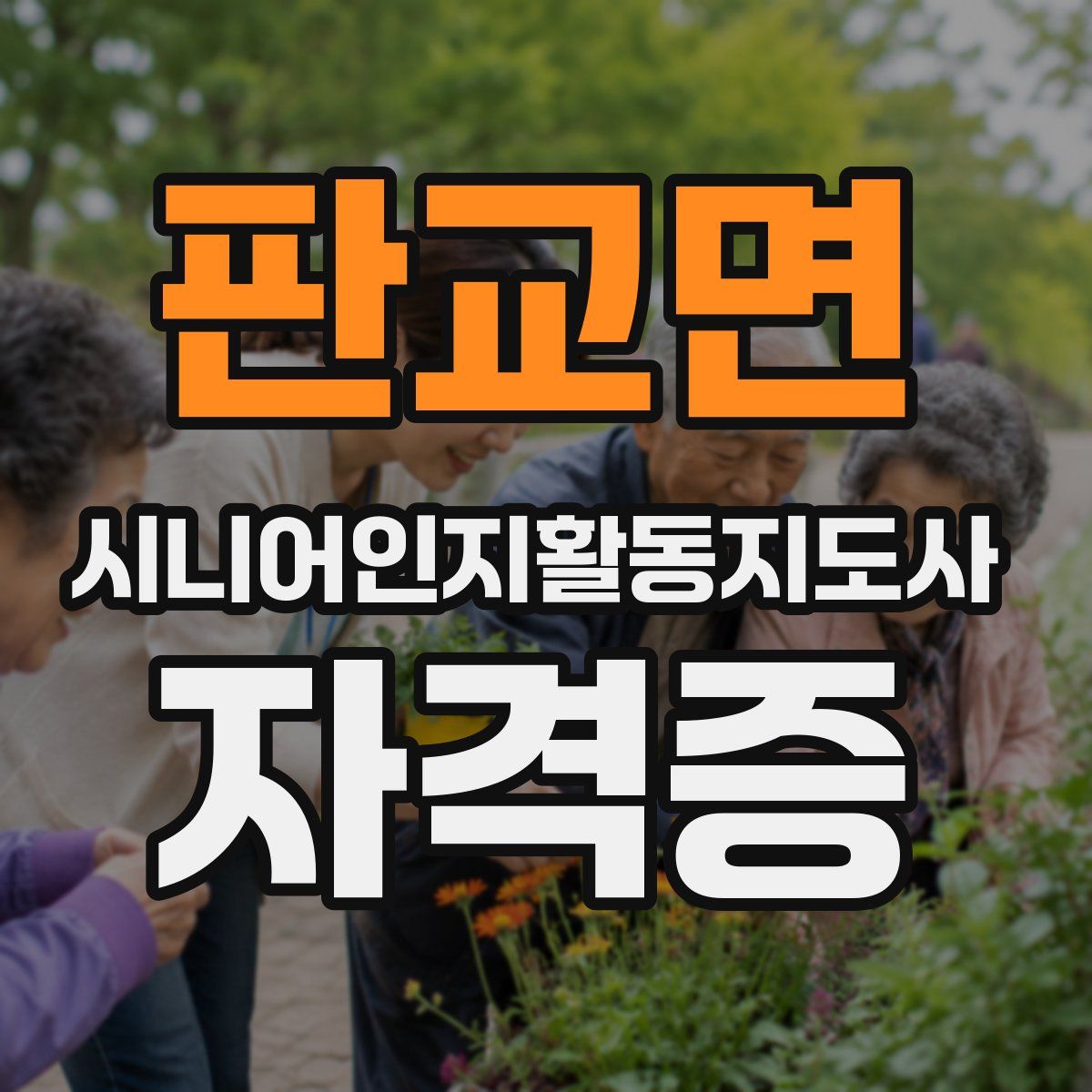 판교면 시니어인지활동지도사 자격증