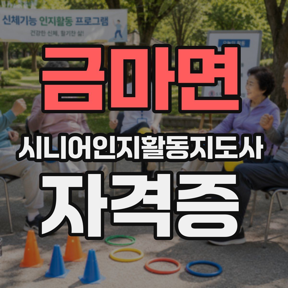 금마면 시니어인지활동지도사 자격증
