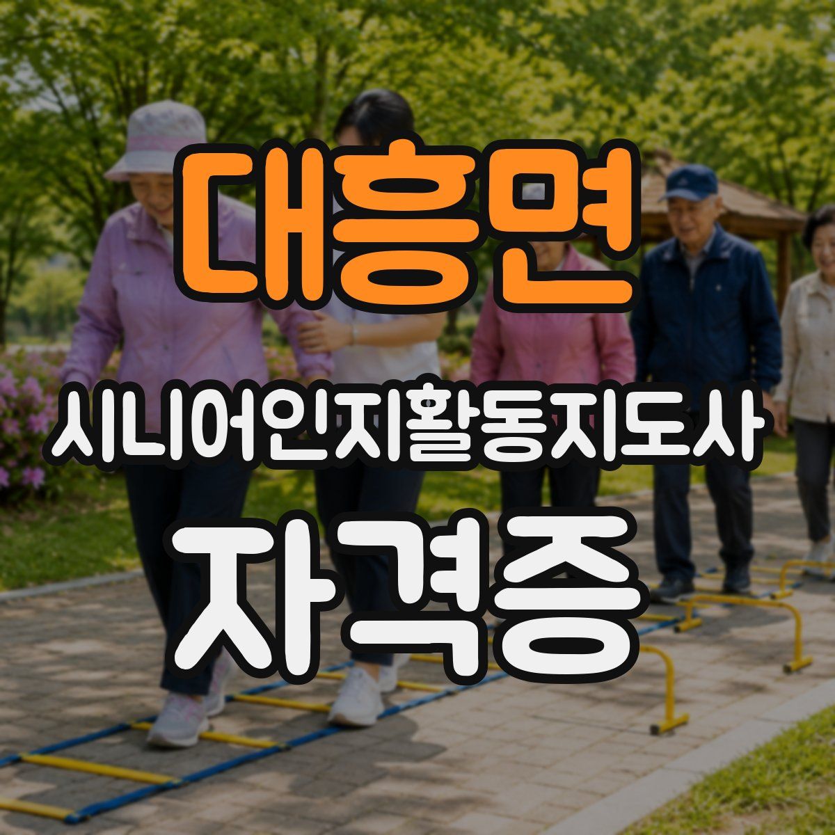 대흥면 시니어인지활동지도사 자격증