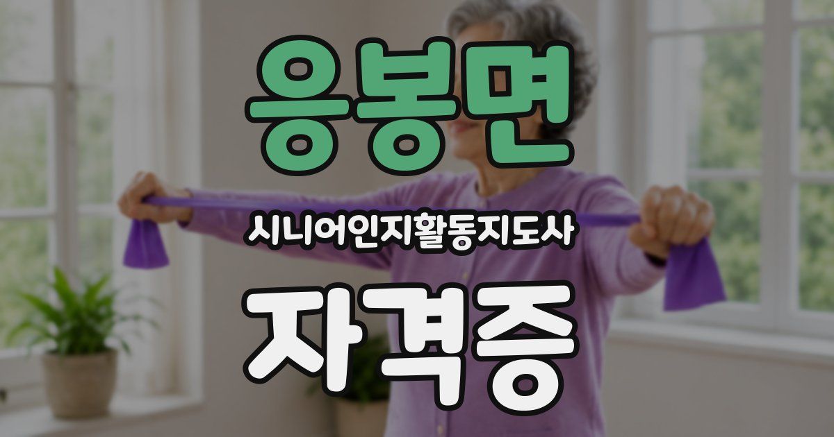 응봉면 시니어인지활동지도사 자격증