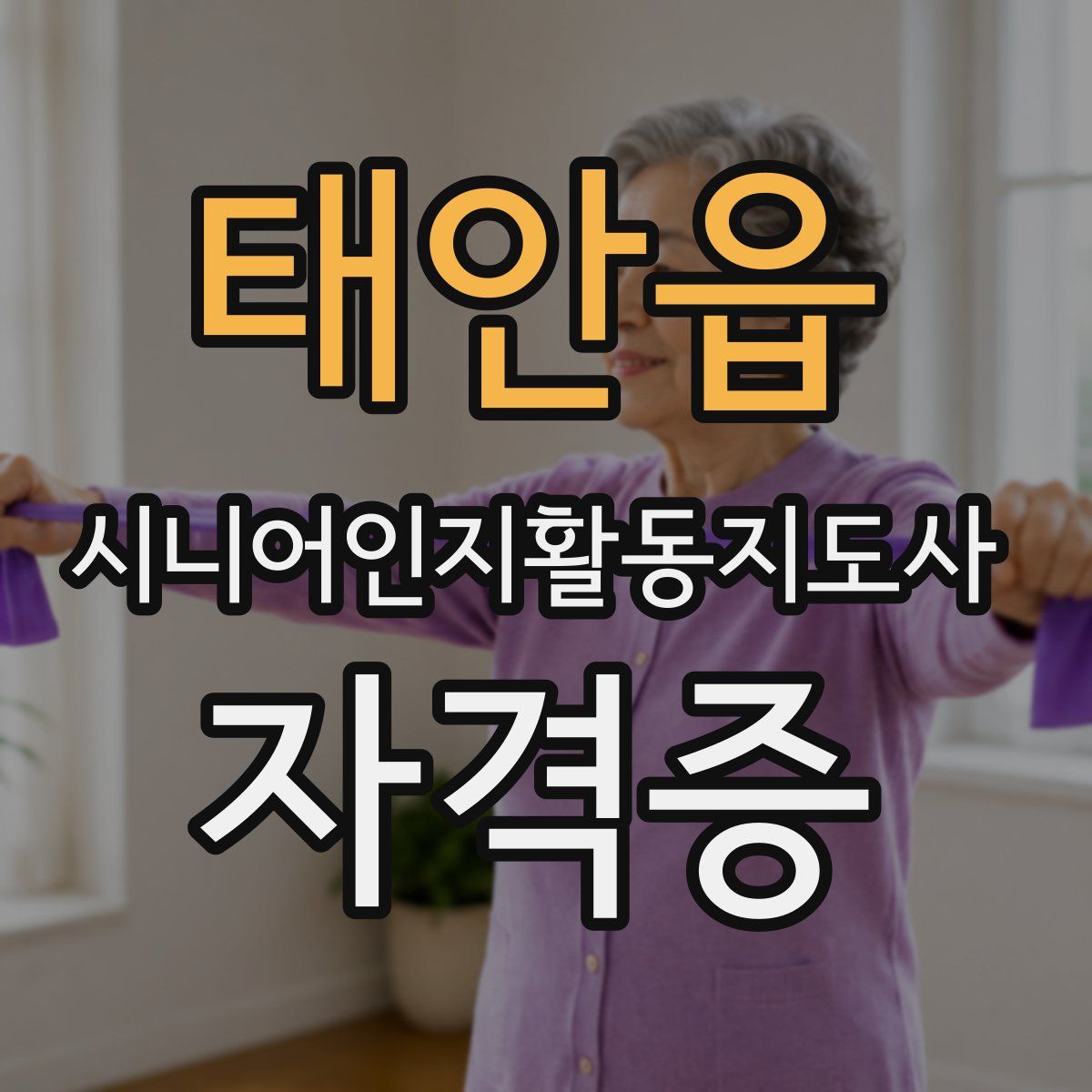 태안읍 시니어인지활동지도사 자격증