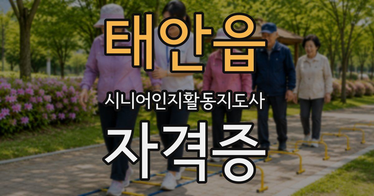 태안읍 시니어인지활동지도사 자격증