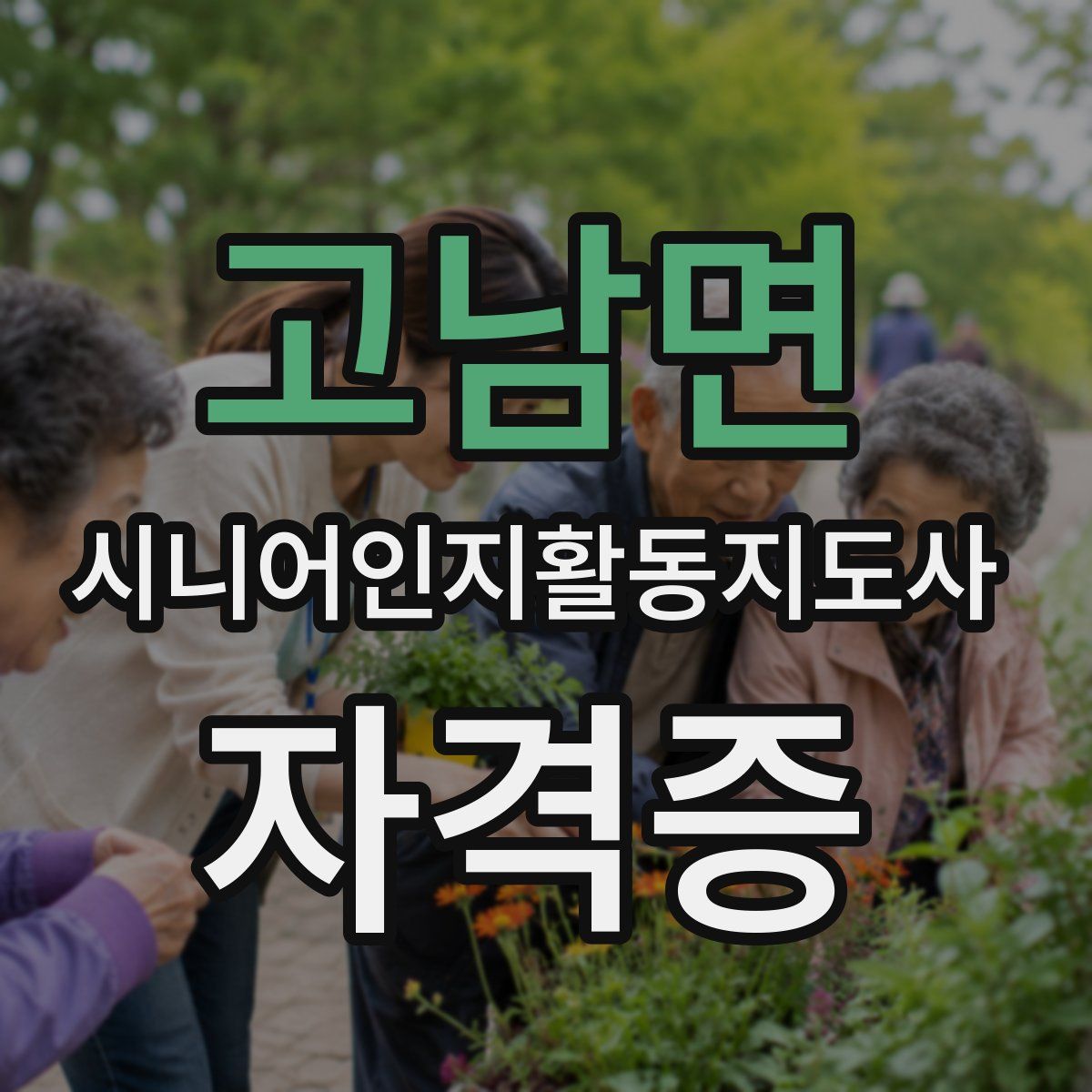 고남면 시니어인지활동지도사 자격증