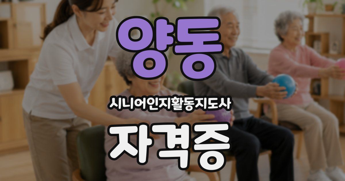 양동 시니어인지활동지도사 자격증