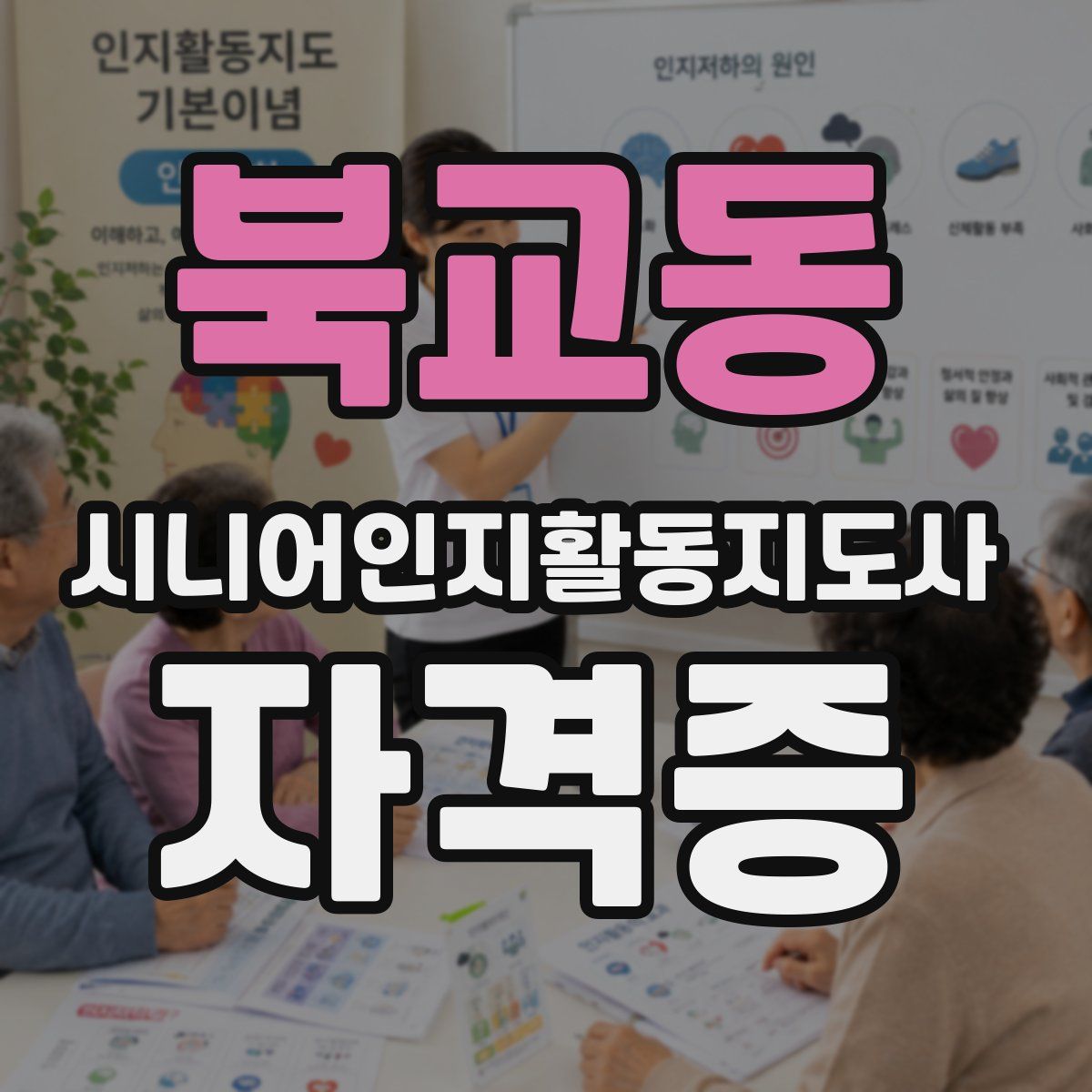 북교동 시니어인지활동지도사 자격증