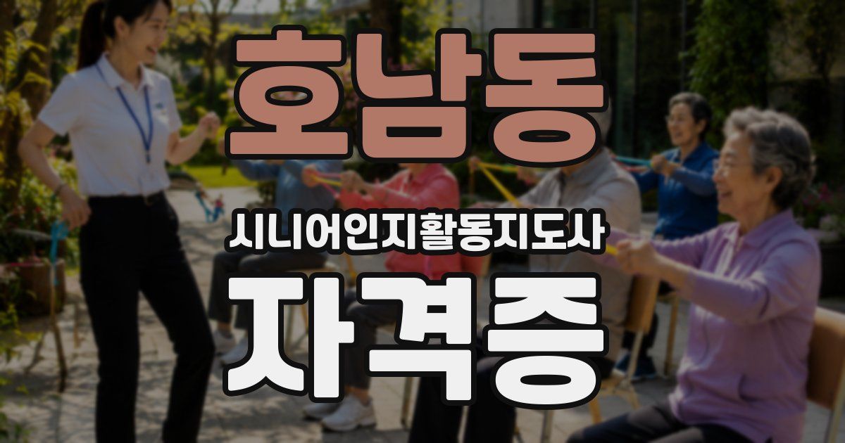 호남동 시니어인지활동지도사 자격증