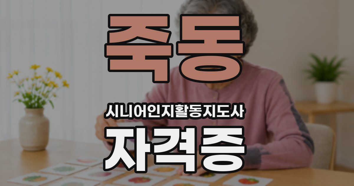 죽동 시니어인지활동지도사 자격증