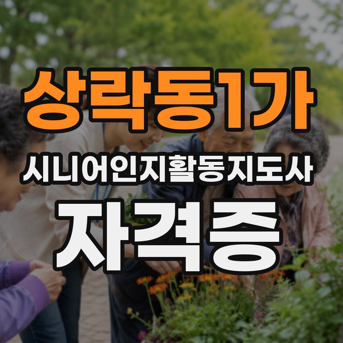 상락동1가 시니어인지활동지도사 자격증