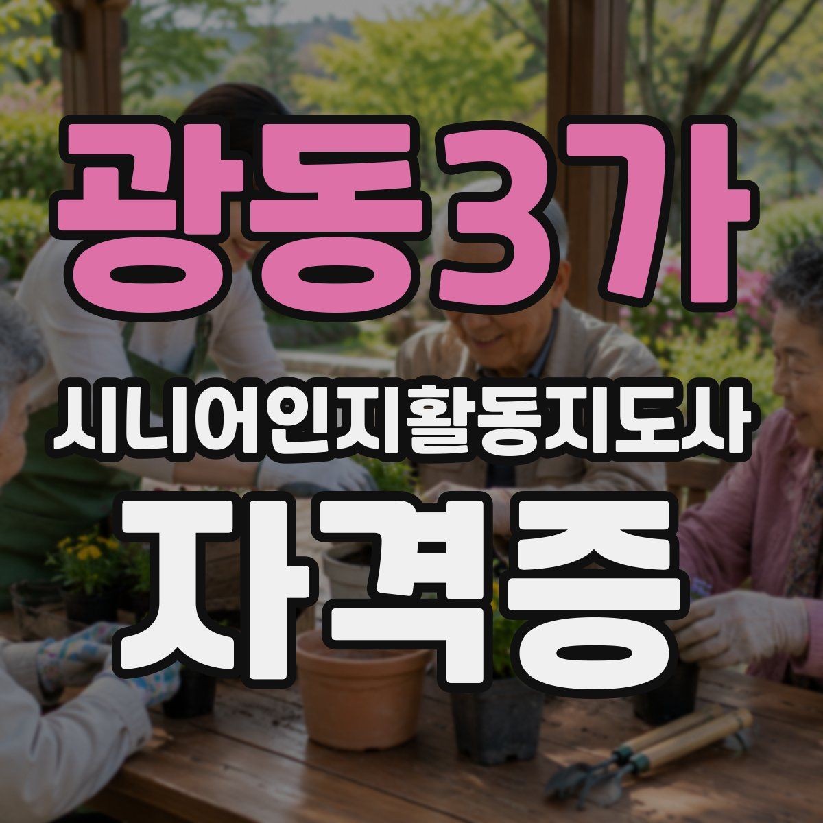 광동3가 시니어인지활동지도사 자격증