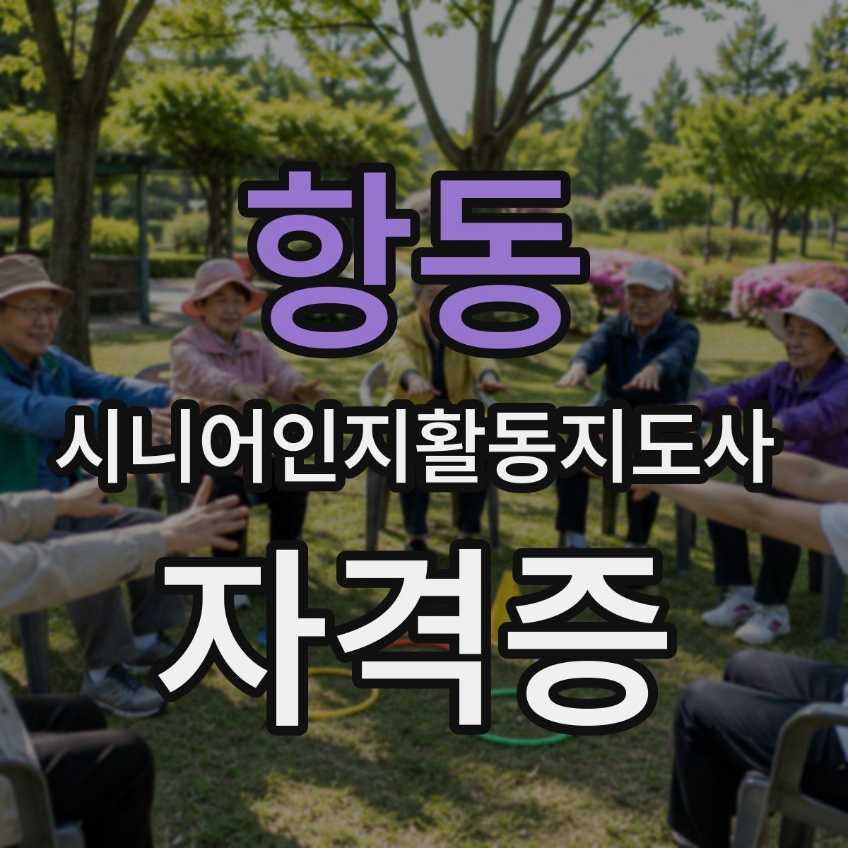 항동 시니어인지활동지도사 자격증 민간자격 선택 시 비교 기준