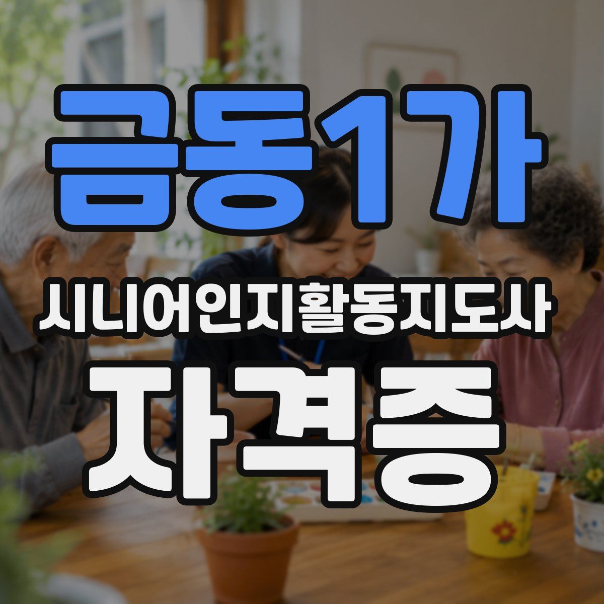 금동1가 시니어인지활동지도사 자격증