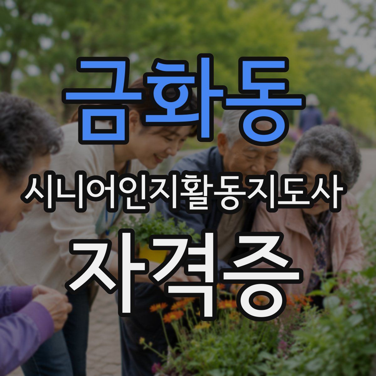 금화동 시니어인지활동지도사 자격증