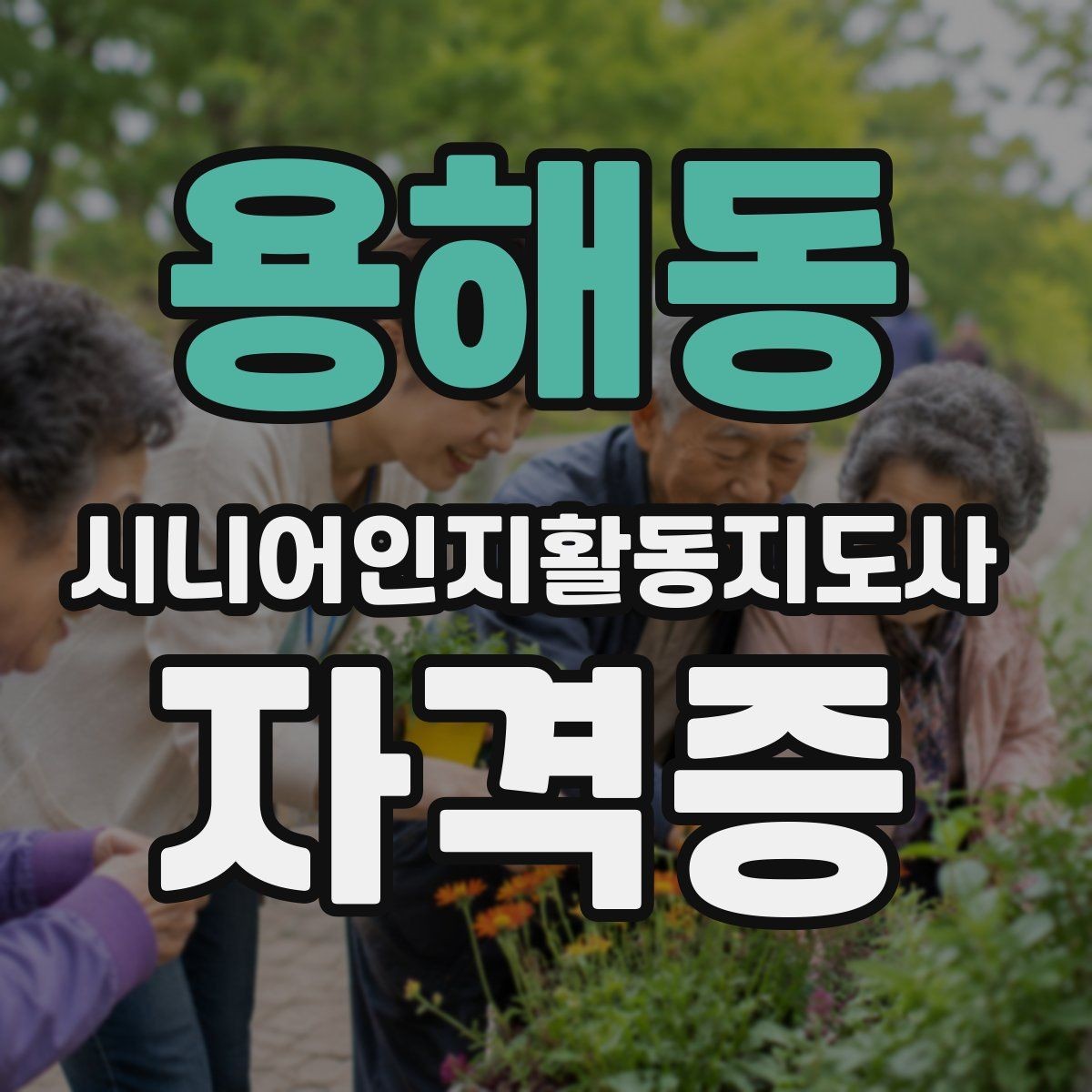 용해동 시니어인지활동지도사 자격증 수강 전 준비해야 할 마음가짐