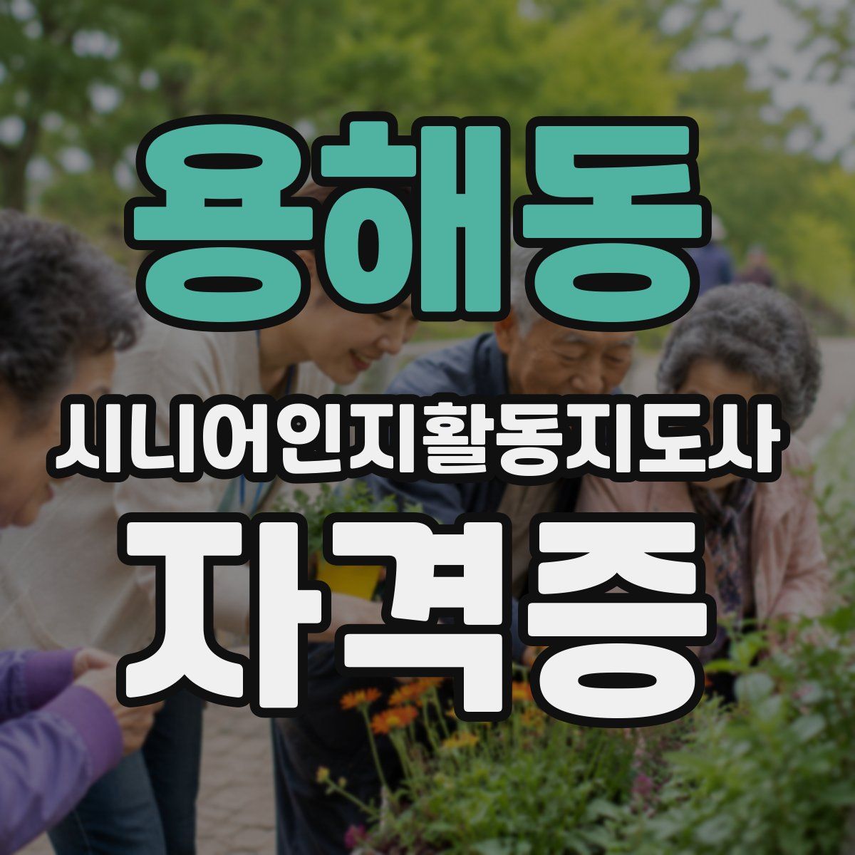 용해동 시니어인지활동지도사 자격증