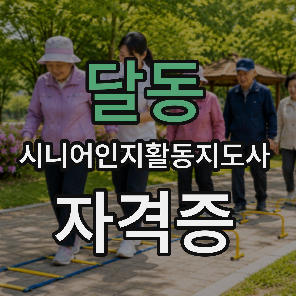 달동 시니어인지활동지도사 자격증