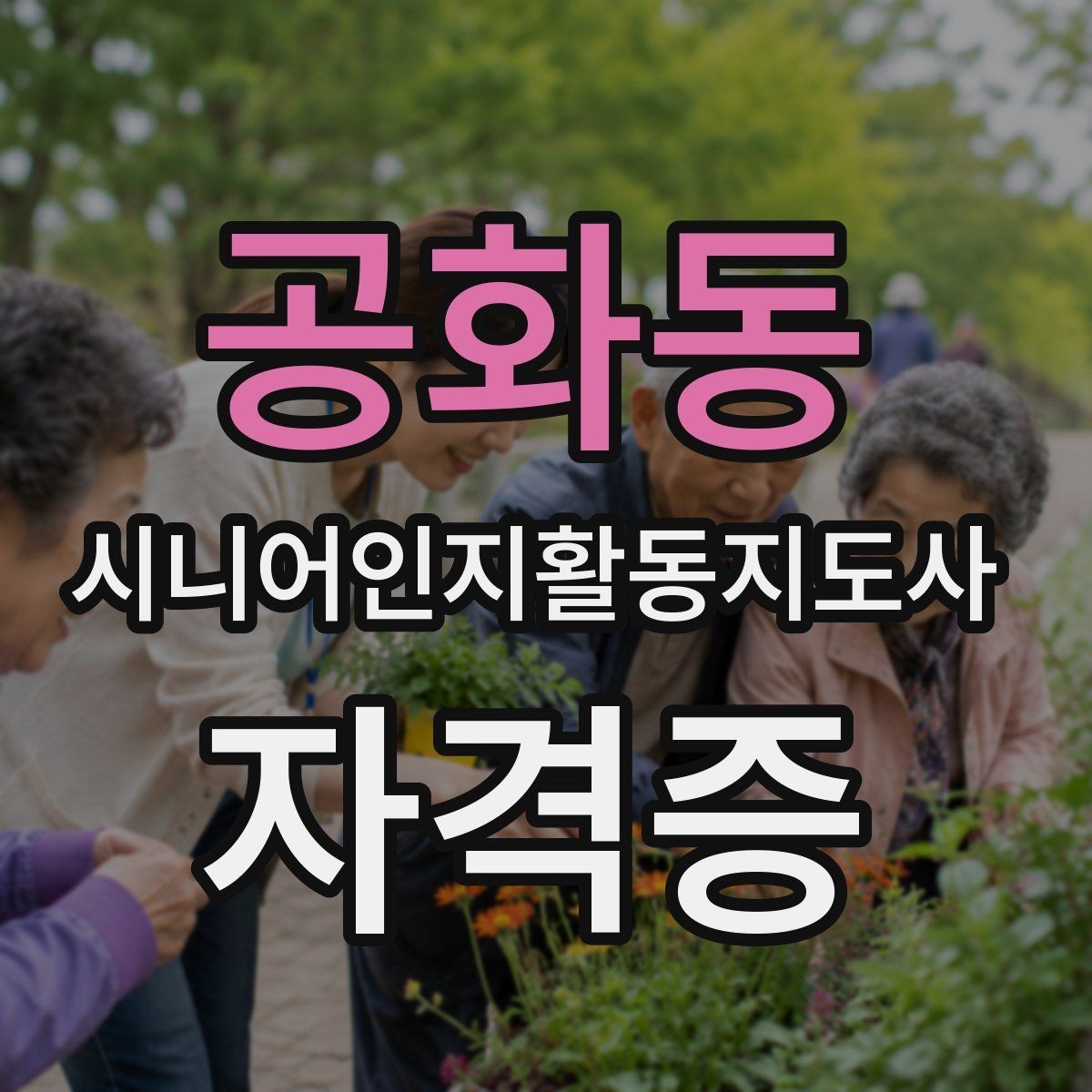 공화동 시니어인지활동지도사 자격증 강의 고를 때 보는 항목