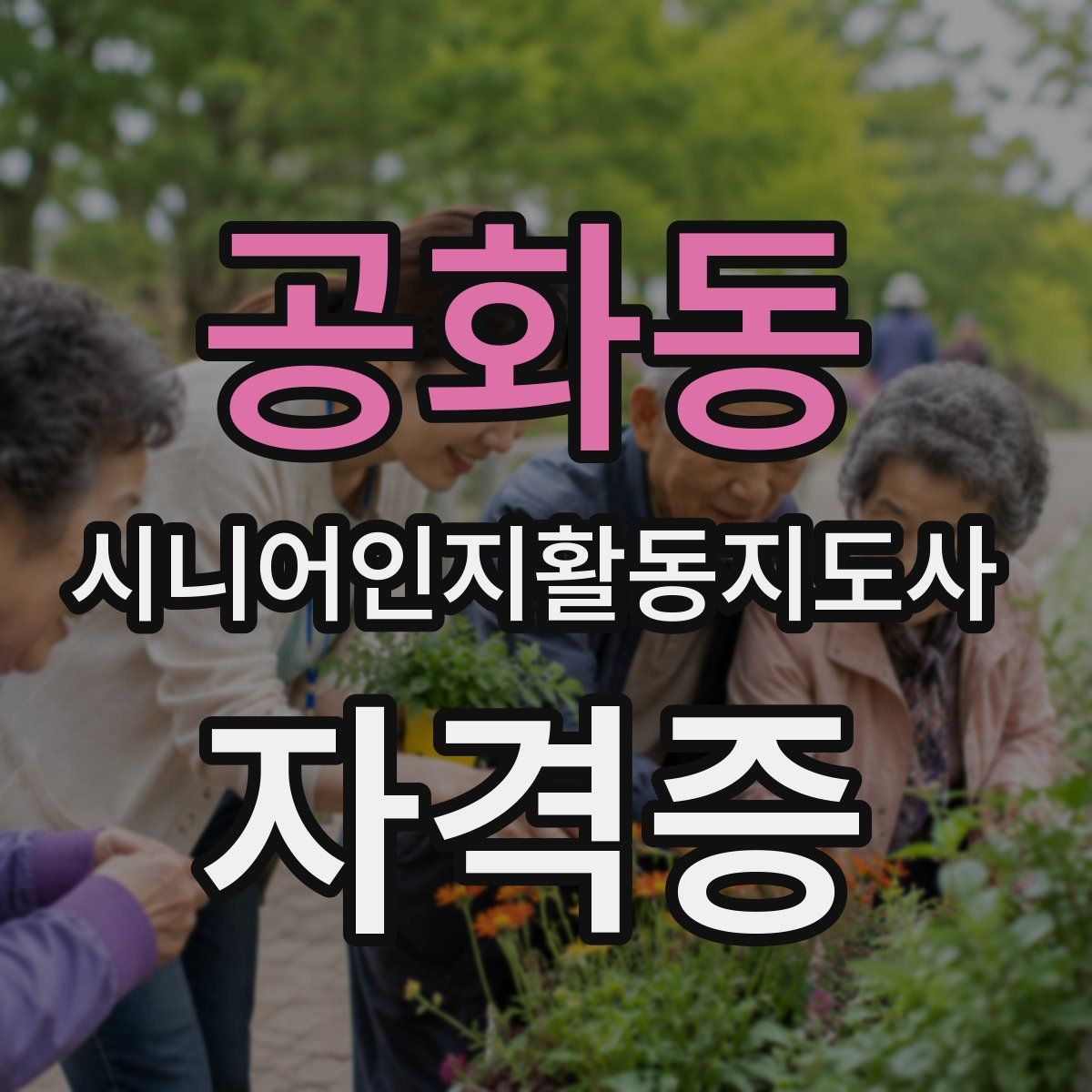 공화동 시니어인지활동지도사 자격증