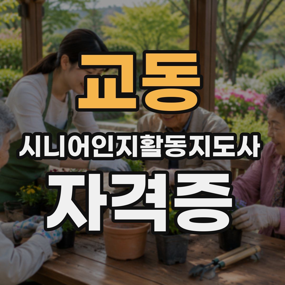 교동 시니어인지활동지도사 자격증