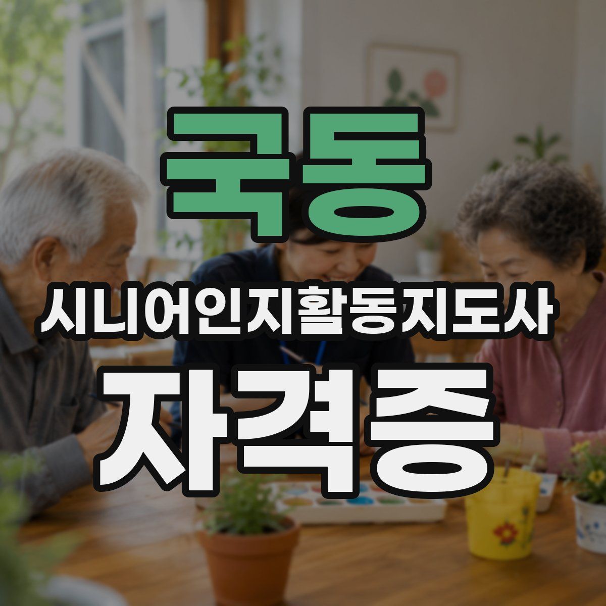 국동 시니어인지활동지도사 자격증