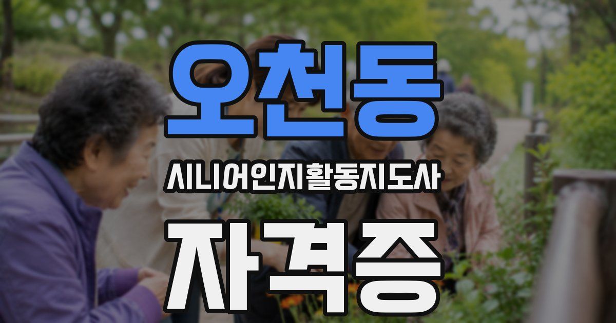 오천동 시니어인지활동지도사 자격증