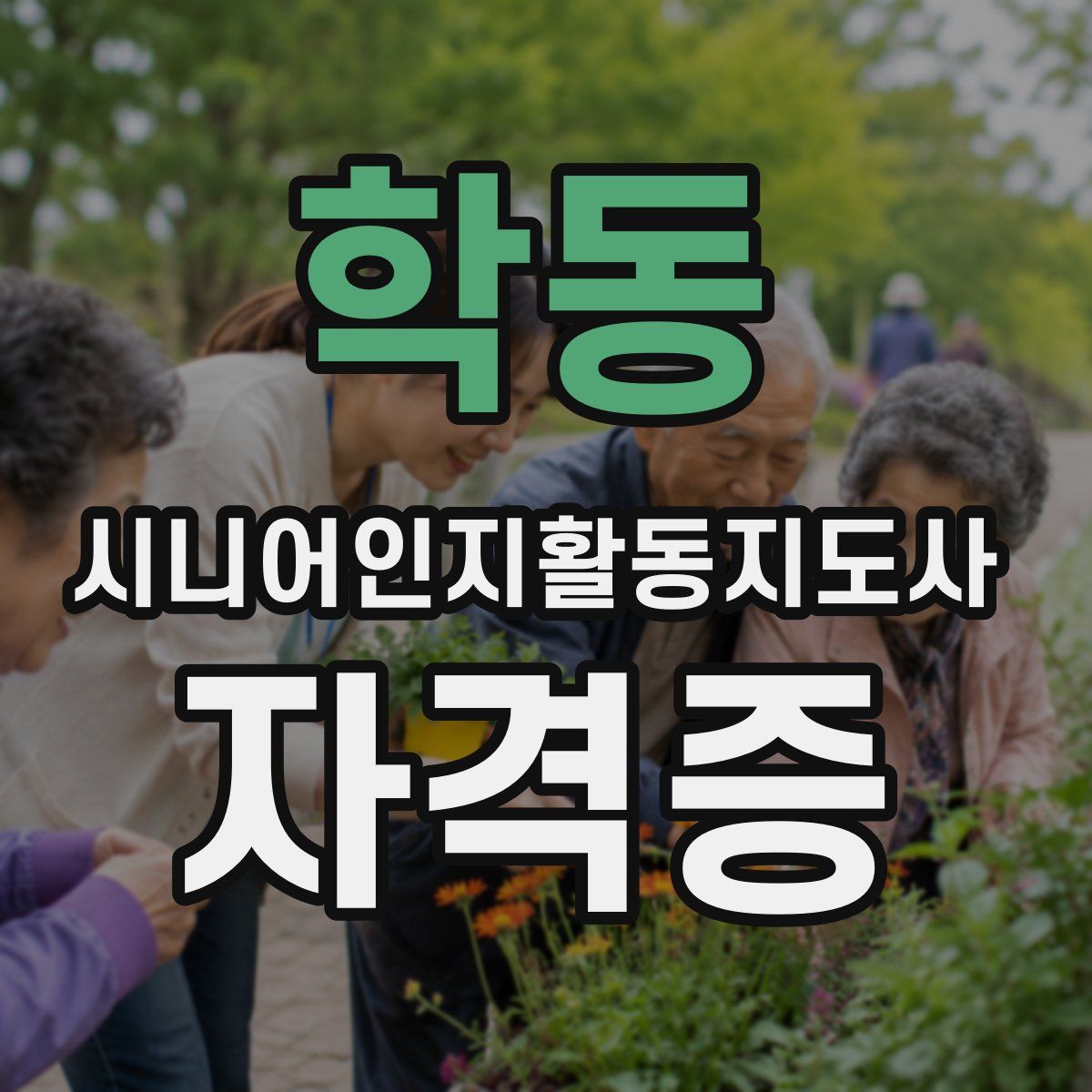 학동 시니어인지활동지도사 자격증