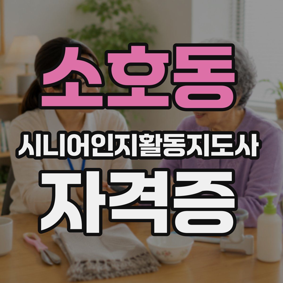 소호동 시니어인지활동지도사 자격증