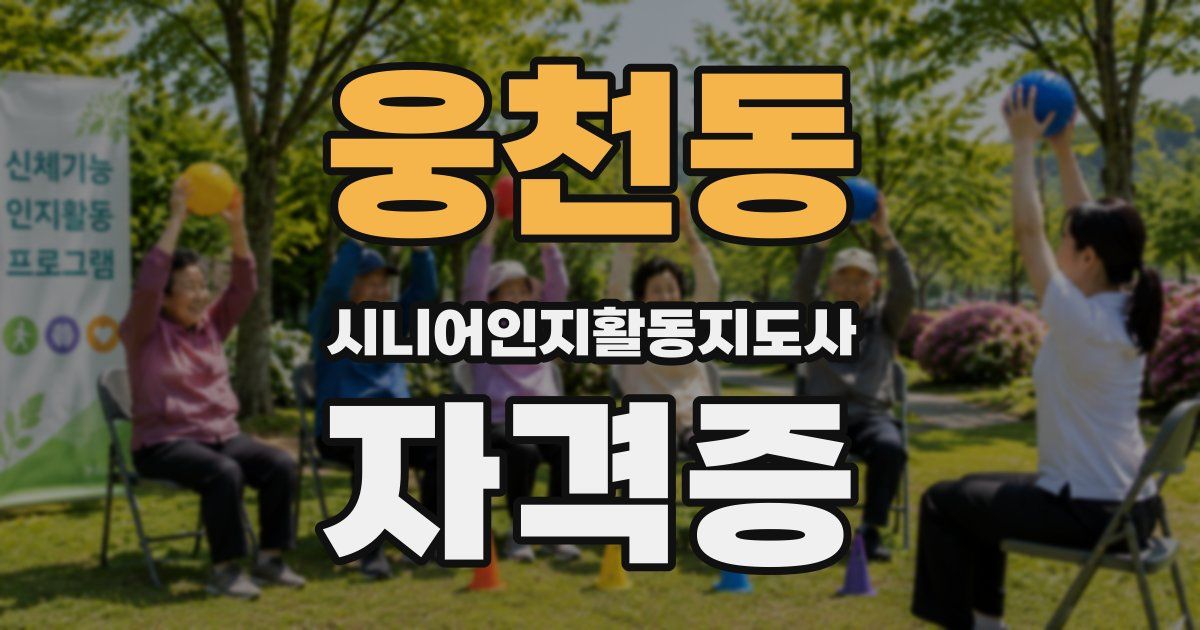 웅천동 시니어인지활동지도사 자격증