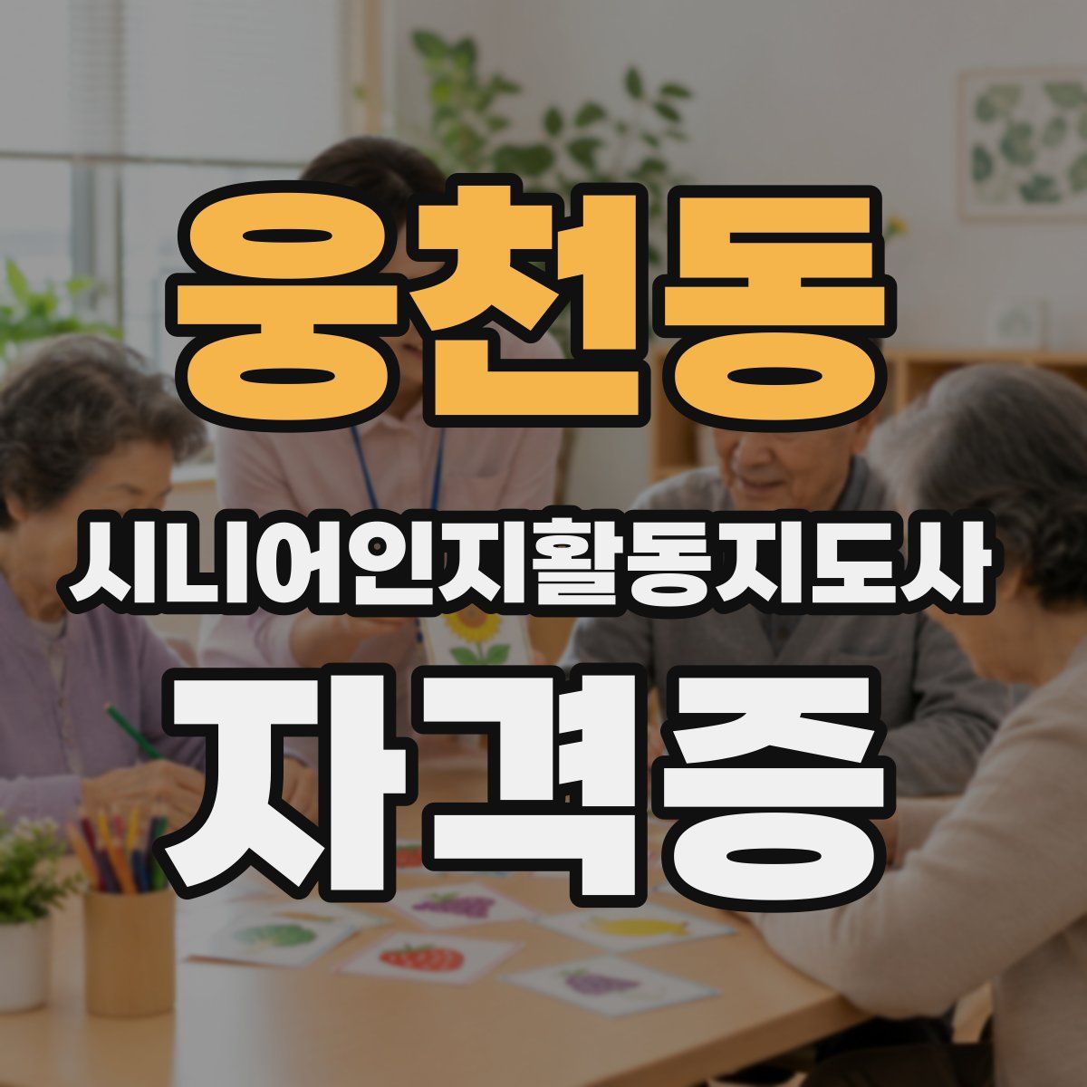 웅천동 시니어인지활동지도사 자격증