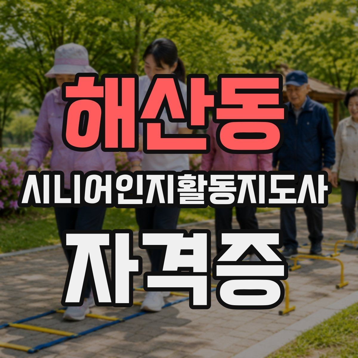 해산동 시니어인지활동지도사 자격증 공부 계획 세부 구성법