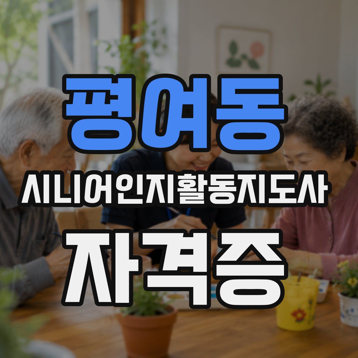 평여동 시니어인지활동지도사 자격증