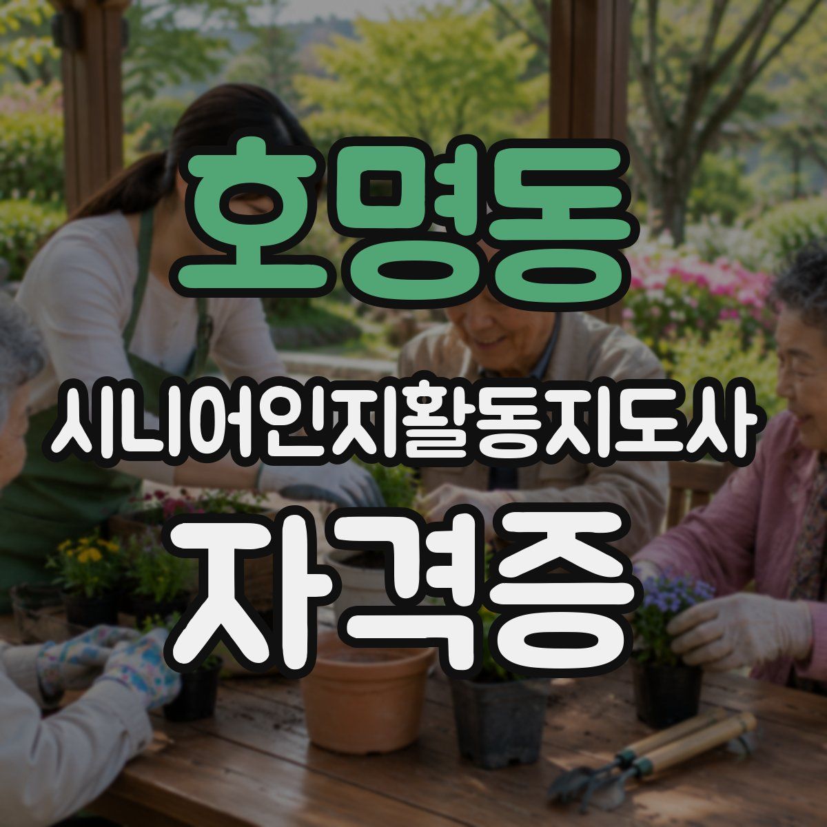 호명동 시니어인지활동지도사 자격증