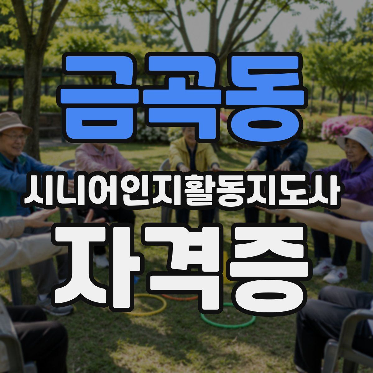 금곡동 시니어인지활동지도사 자격증