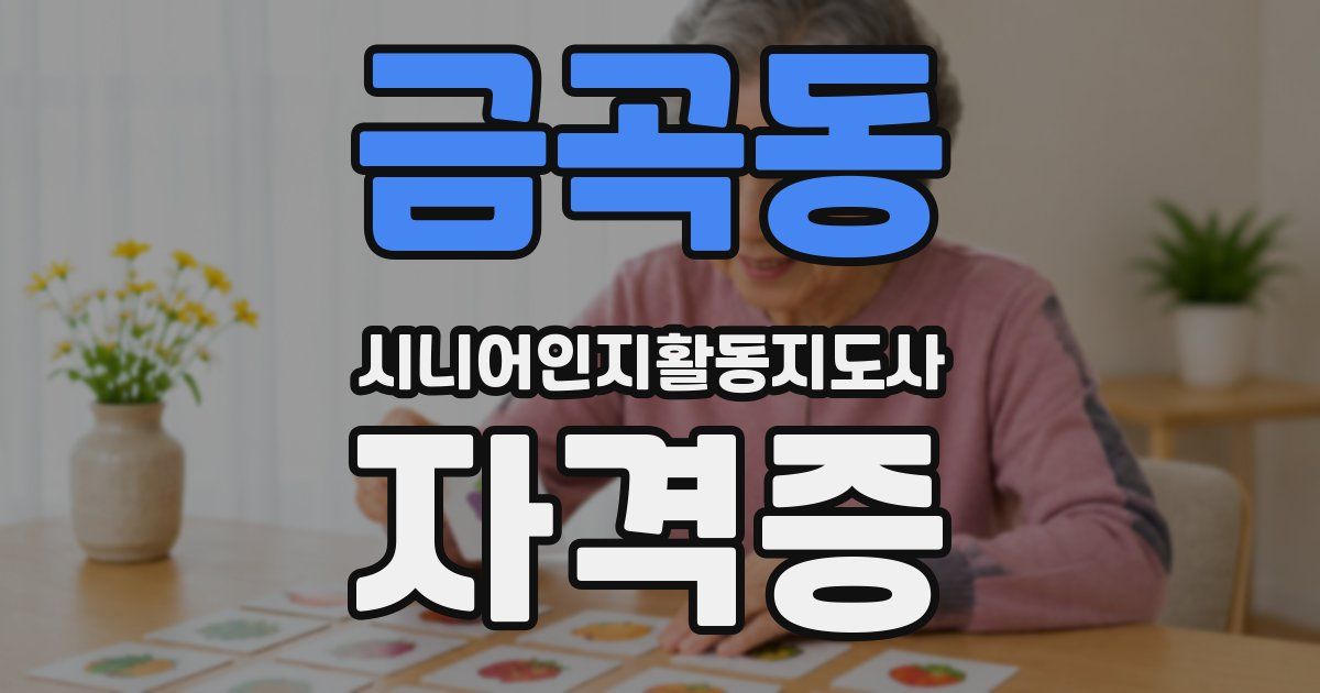 금곡동 시니어인지활동지도사 자격증