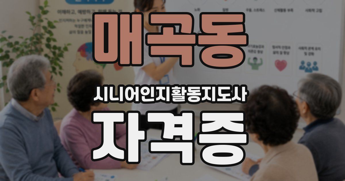 매곡동 시니어인지활동지도사 자격증