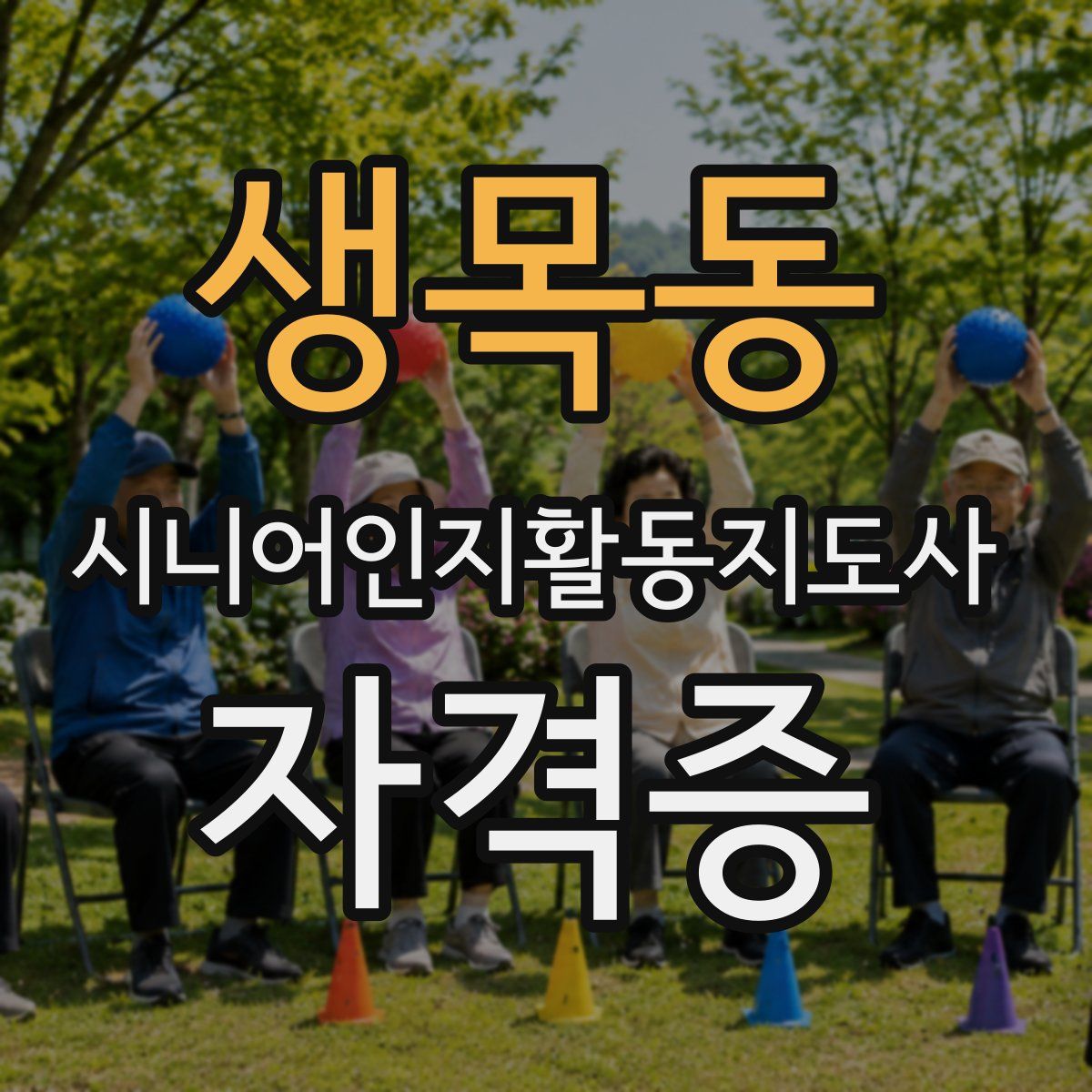 생목동 시니어인지활동지도사 자격증