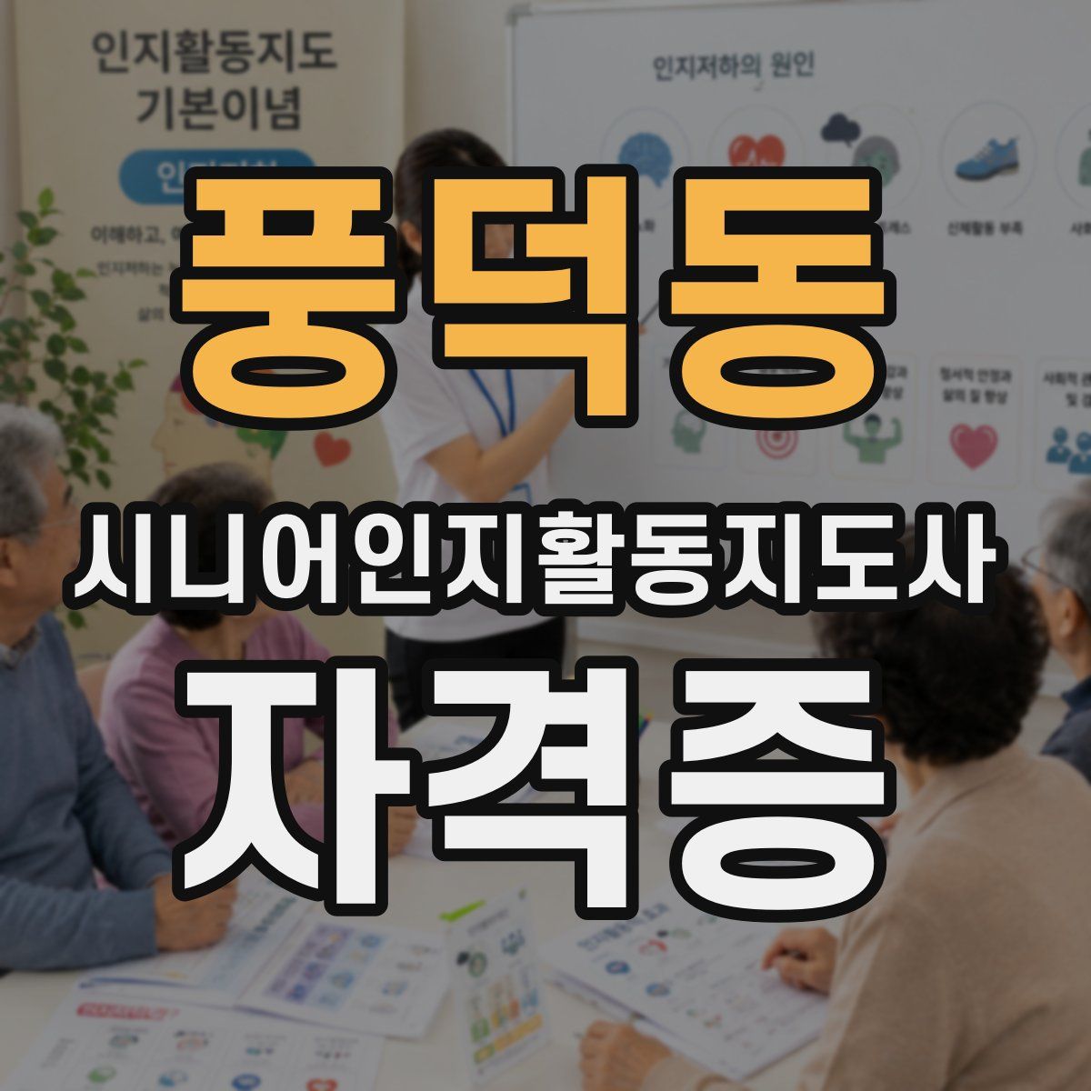 풍덕동 시니어인지활동지도사 자격증
