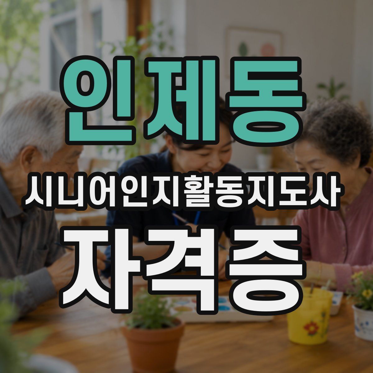 인제동 시니어인지활동지도사 자격증