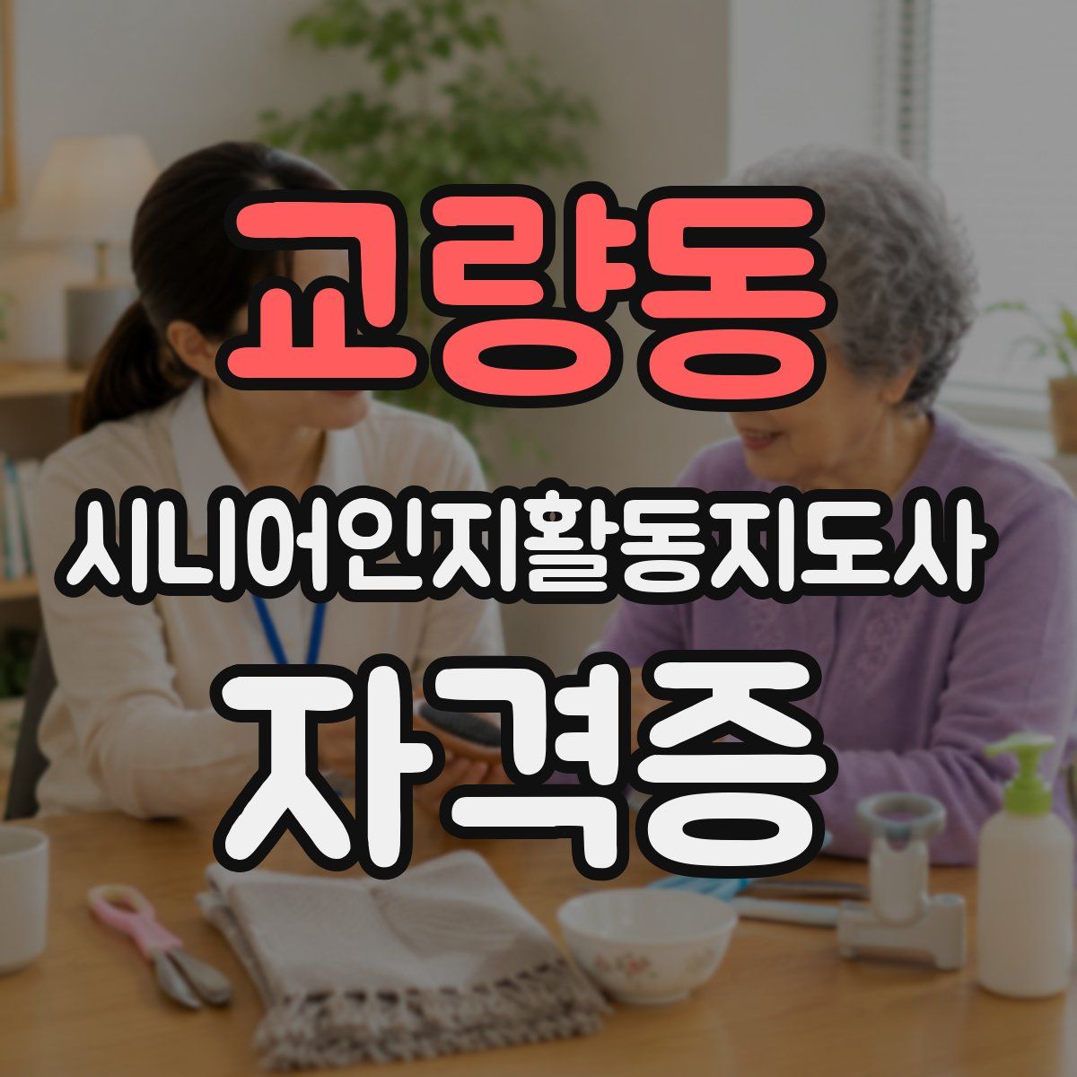 교량동 시니어인지활동지도사 자격증