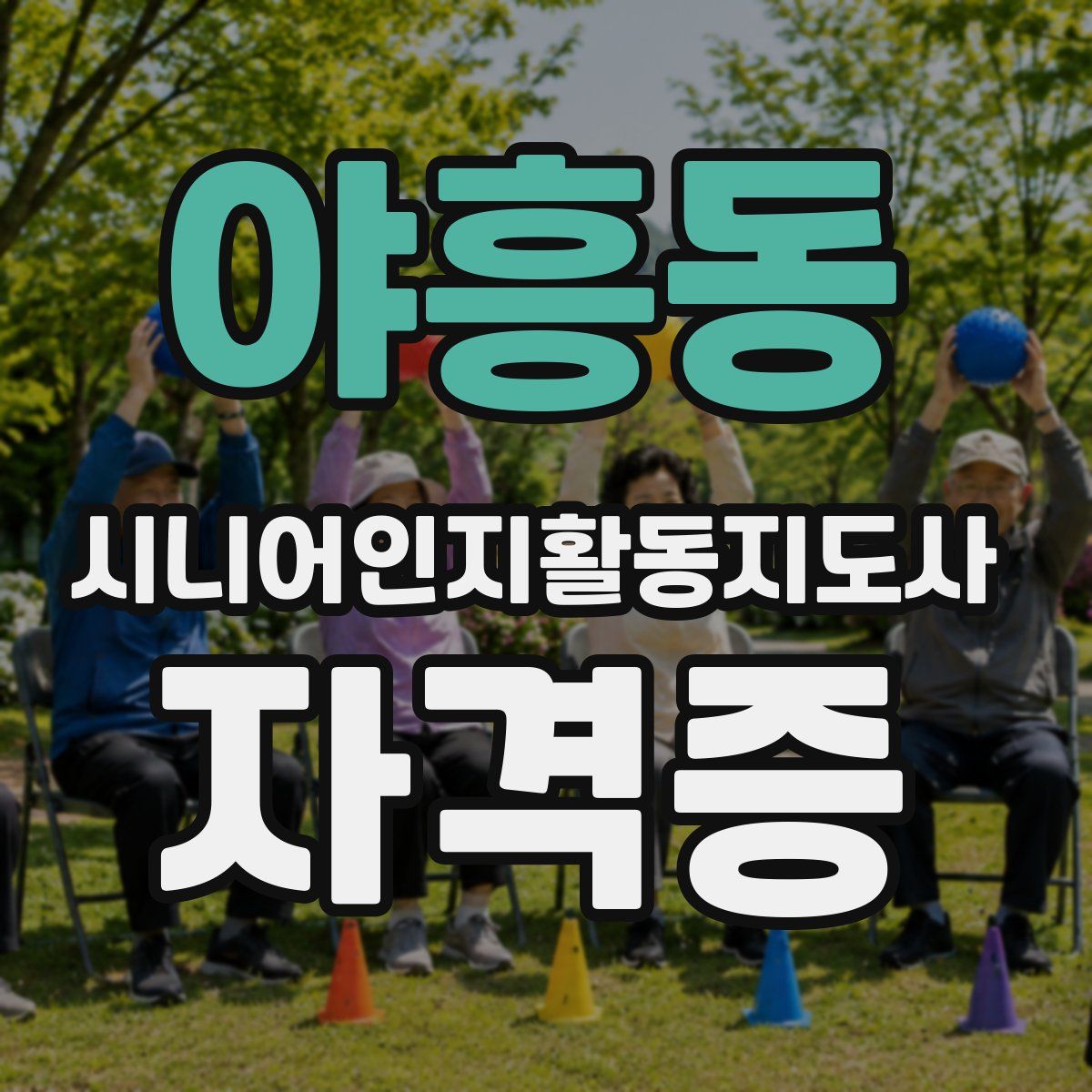 야흥동 시니어인지활동지도사 자격증