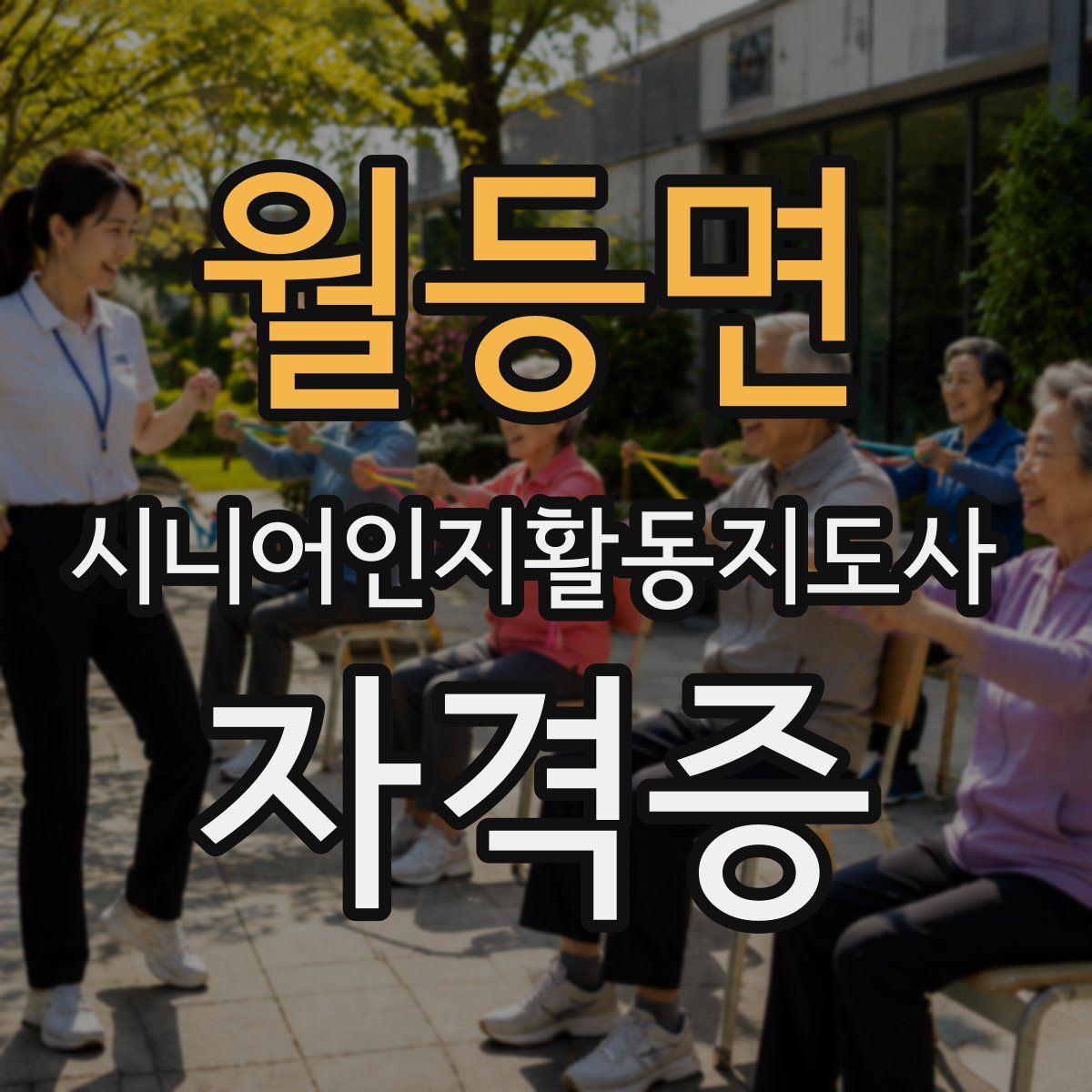 월등면 시니어인지활동지도사 자격증
