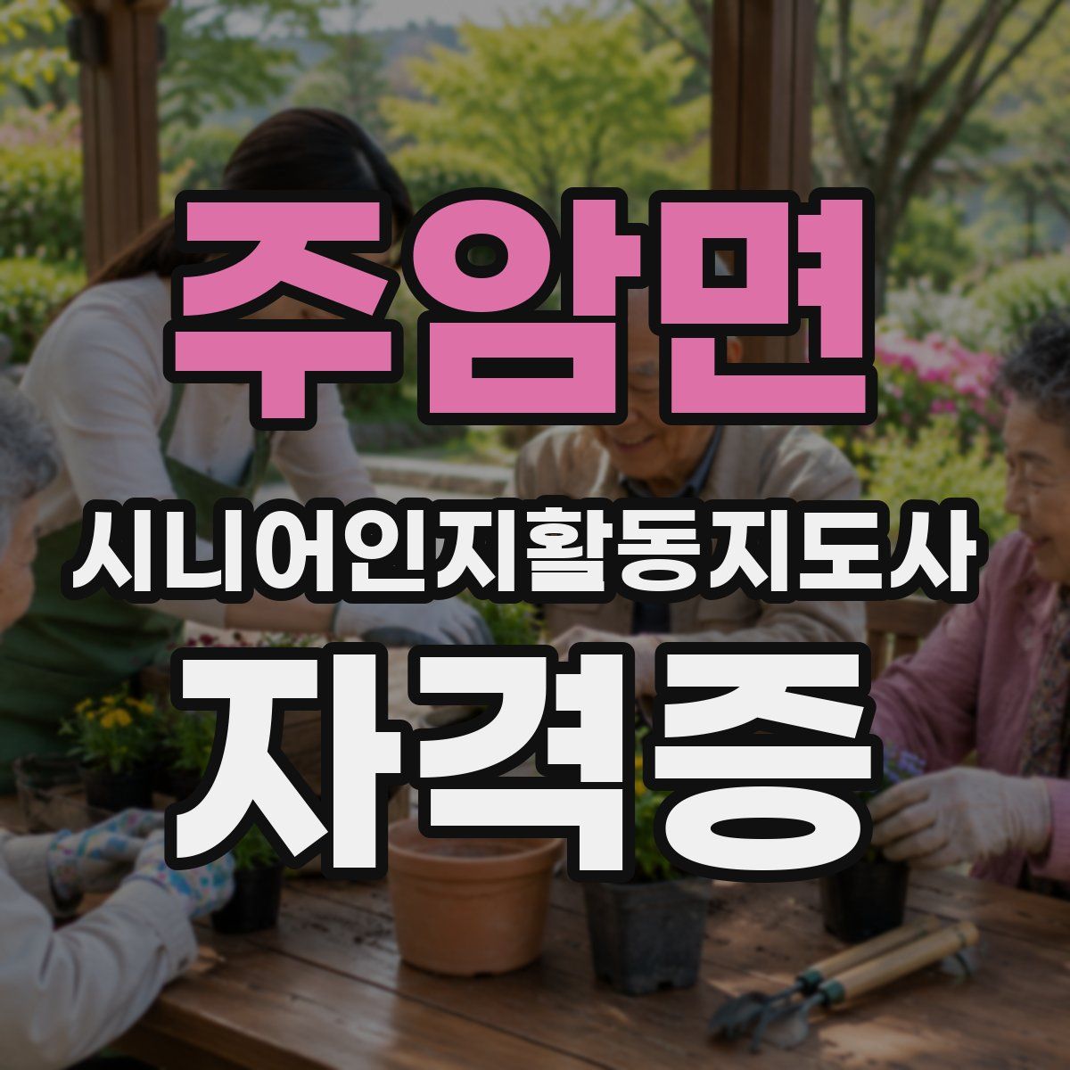 주암면 시니어인지활동지도사 자격증