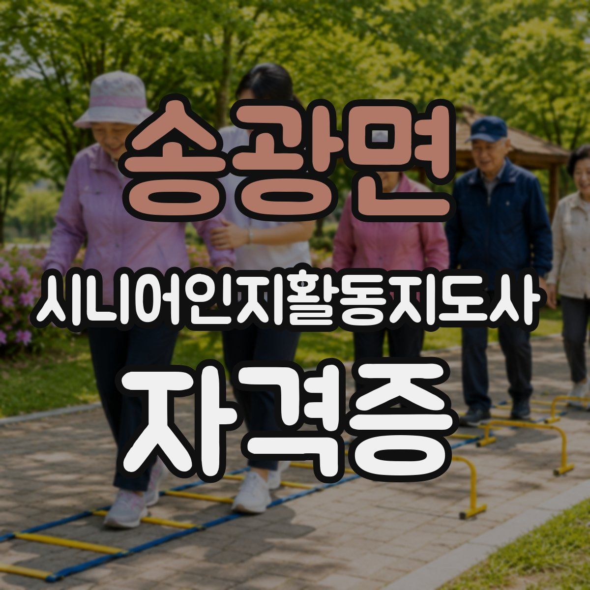 송광면 시니어인지활동지도사 자격증