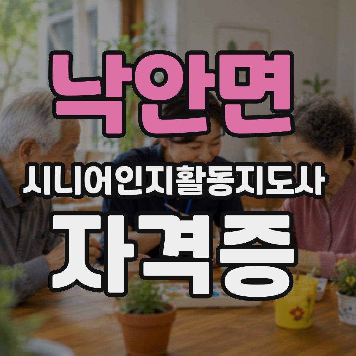 낙안면 시니어인지활동지도사 자격증