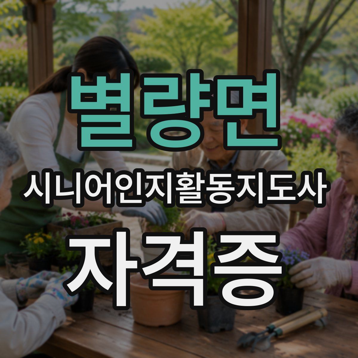 별량면 시니어인지활동지도사 자격증