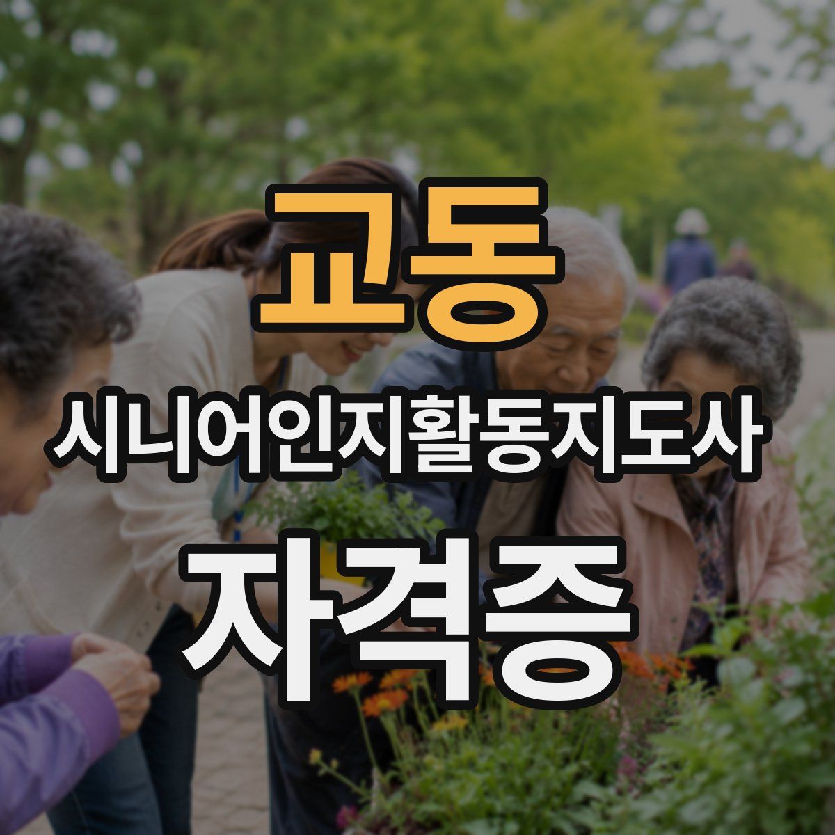 교동 시니어인지활동지도사 자격증
