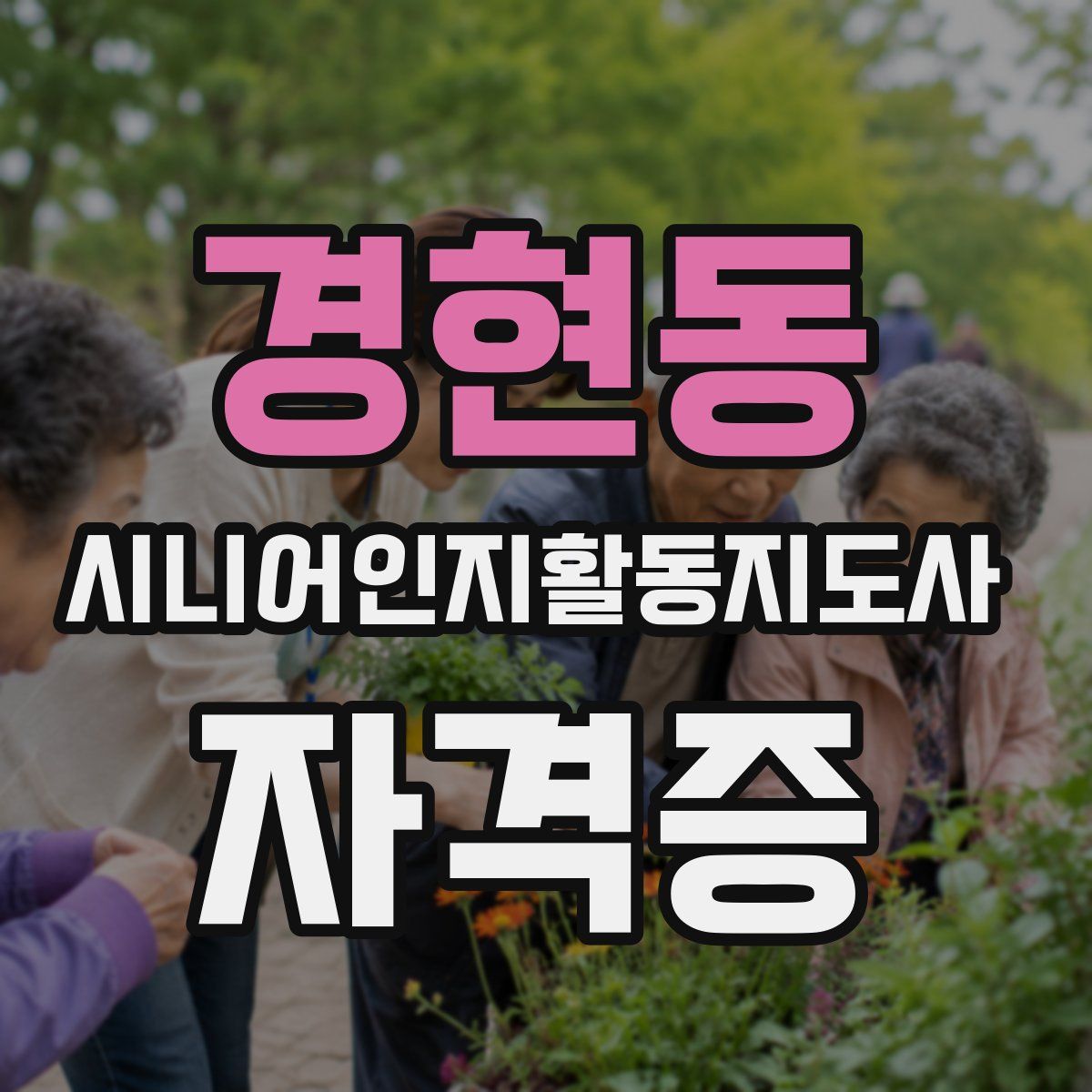경현동 시니어인지활동지도사 자격증