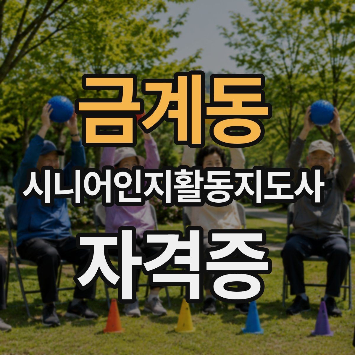 금계동 시니어인지활동지도사 자격증 합격을 위해 자주 점검할 항목